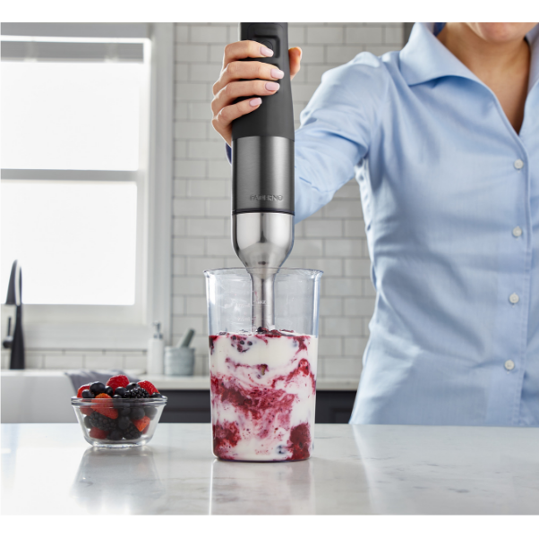 Variable Speed Immersion Blender by Paderno